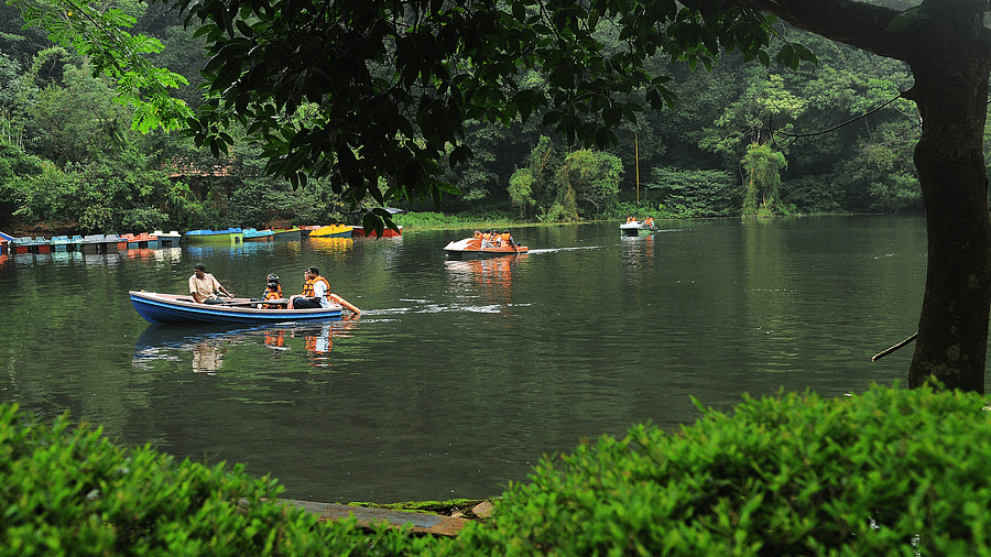 A lake with boats in it and greenery around it | Vythiri Resort, Wayanad